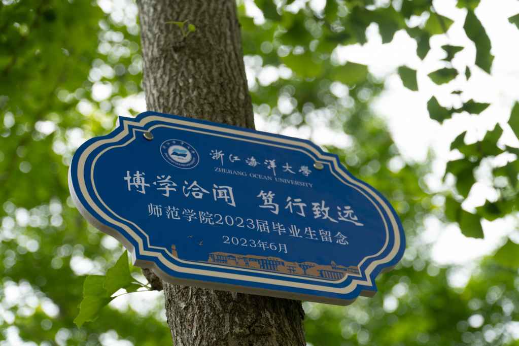 DSC01551.jpg